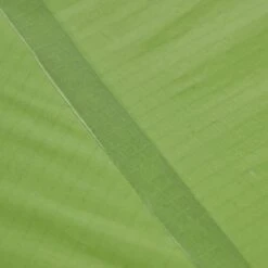 VAUDE LIZARD SEAMLESS 1-2P - Einpersonenzelt -Globetrotter Geschäfte 5637736447 af power lizard seamless 12p cress green vaude 24