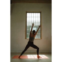 Blackroll MAT GYMBAG GT - Yogamatte -Globetrotter Geschäfte 5637896171 h mat gt plus gymbag blackroll 24